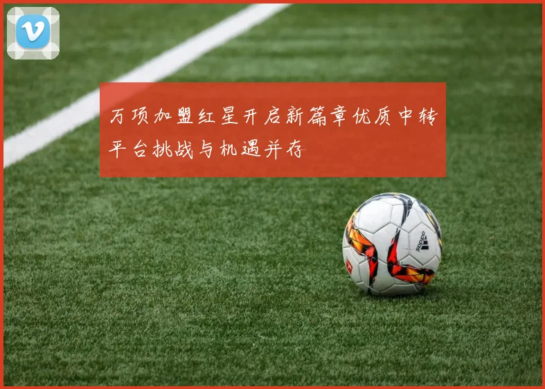 万项加盟红星开启新篇章优质中转平台挑战与机遇并存