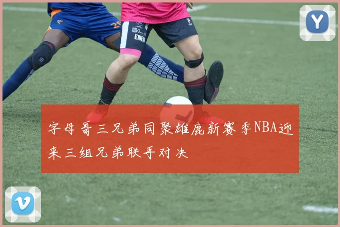 字母哥三兄弟同聚雄鹿新赛季NBA迎来三组兄弟联手对决