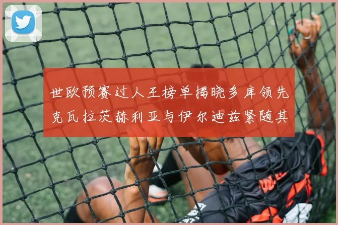 世欧预赛过人王榜单揭晓多库领先克瓦拉茨赫利亚与伊尔迪兹紧随其后