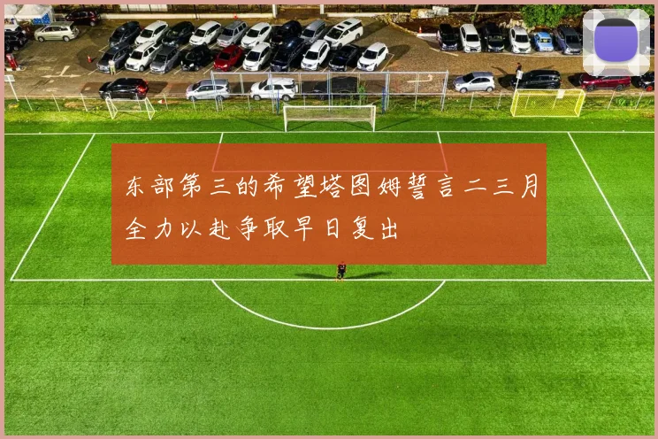 东部第三的希望塔图姆誓言二三月全力以赴争取早日复出
