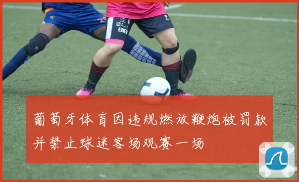 葡萄牙体育因违规燃放鞭炮被罚款并禁止球迷客场观赛一场
